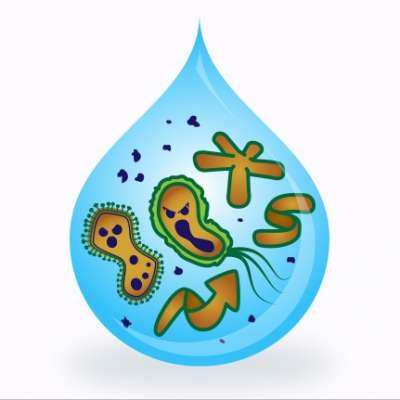 Bacteria breeds in water with less UV.